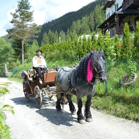 Casa Aureliana Villa Ciocanesti Eksteriør bilde