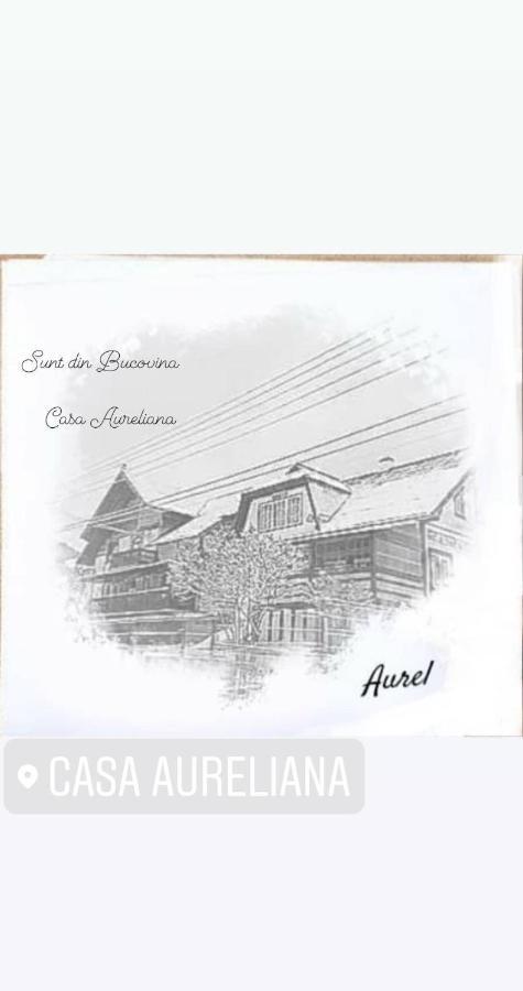 Casa Aureliana Villa Ciocanesti Eksteriør bilde