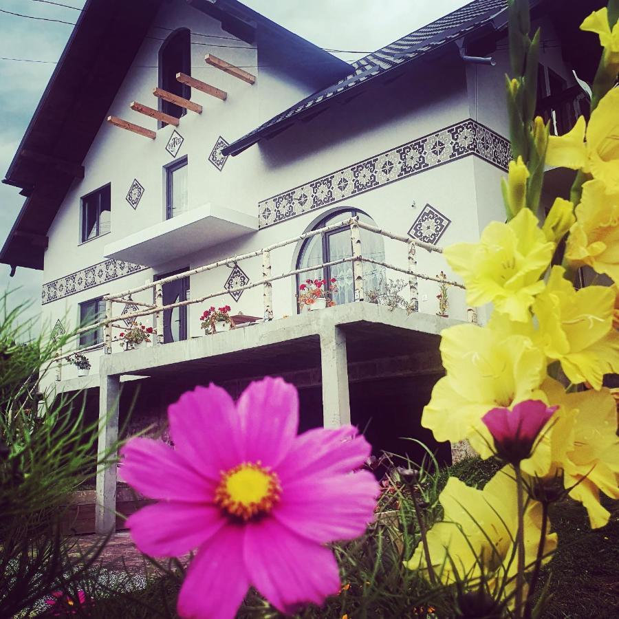 Casa Aureliana Villa Ciocanesti Eksteriør bilde