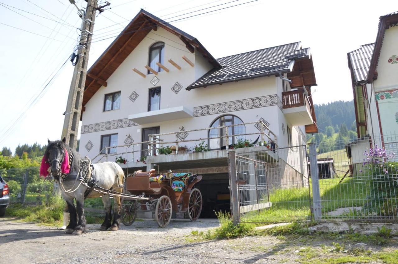 Casa Aureliana Villa Ciocanesti Eksteriør bilde